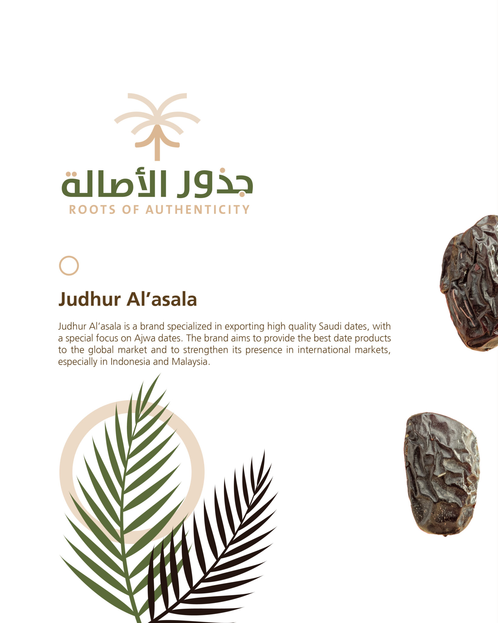 جذور الأصالة - تمور العجوة - هوية بصرية - Brand Identity - Website Design - Judhur Al'asala