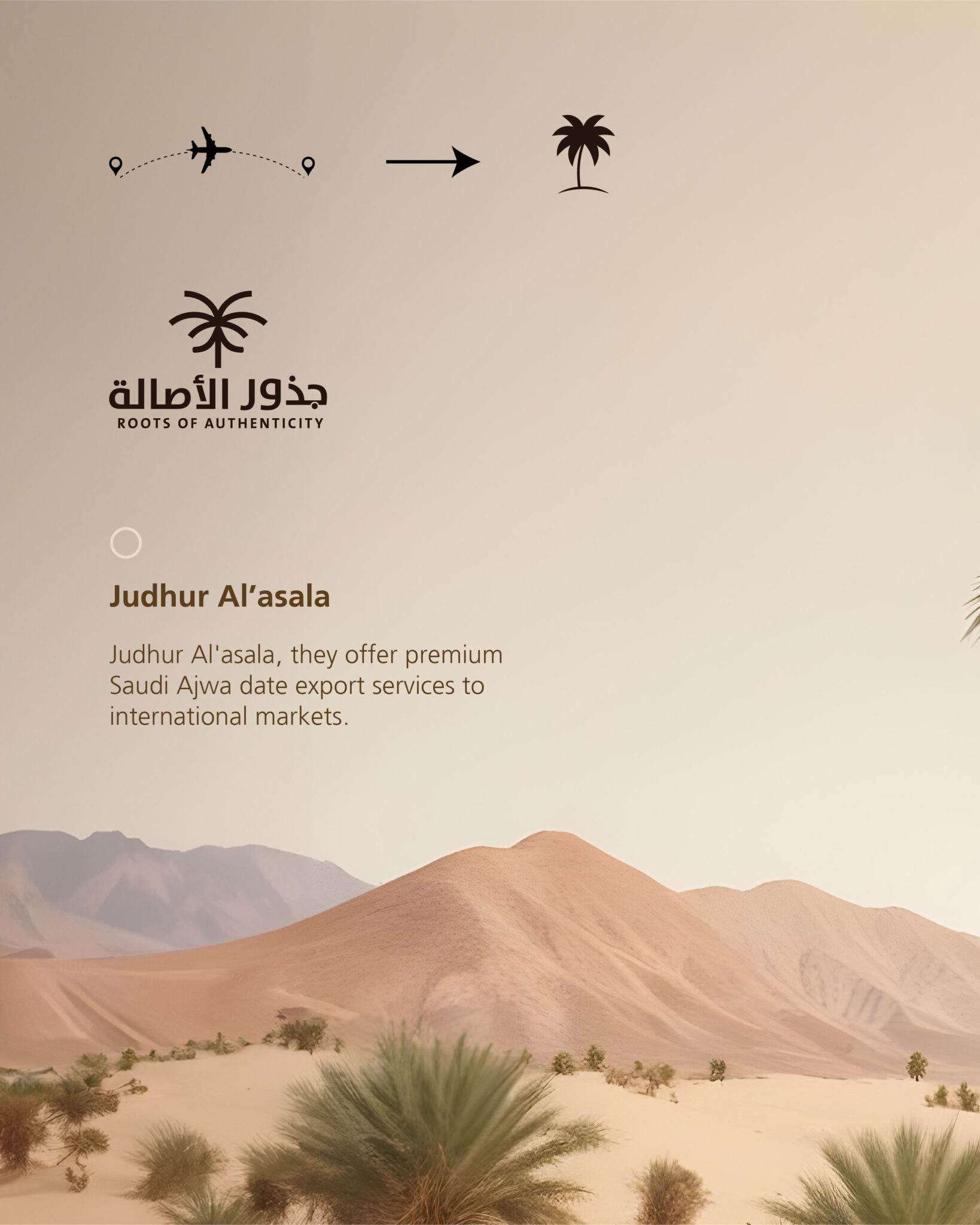 جذور الأصالة - تمور العجوة - هوية بصرية - Brand Identity - Website Design - Judhur Al'asala