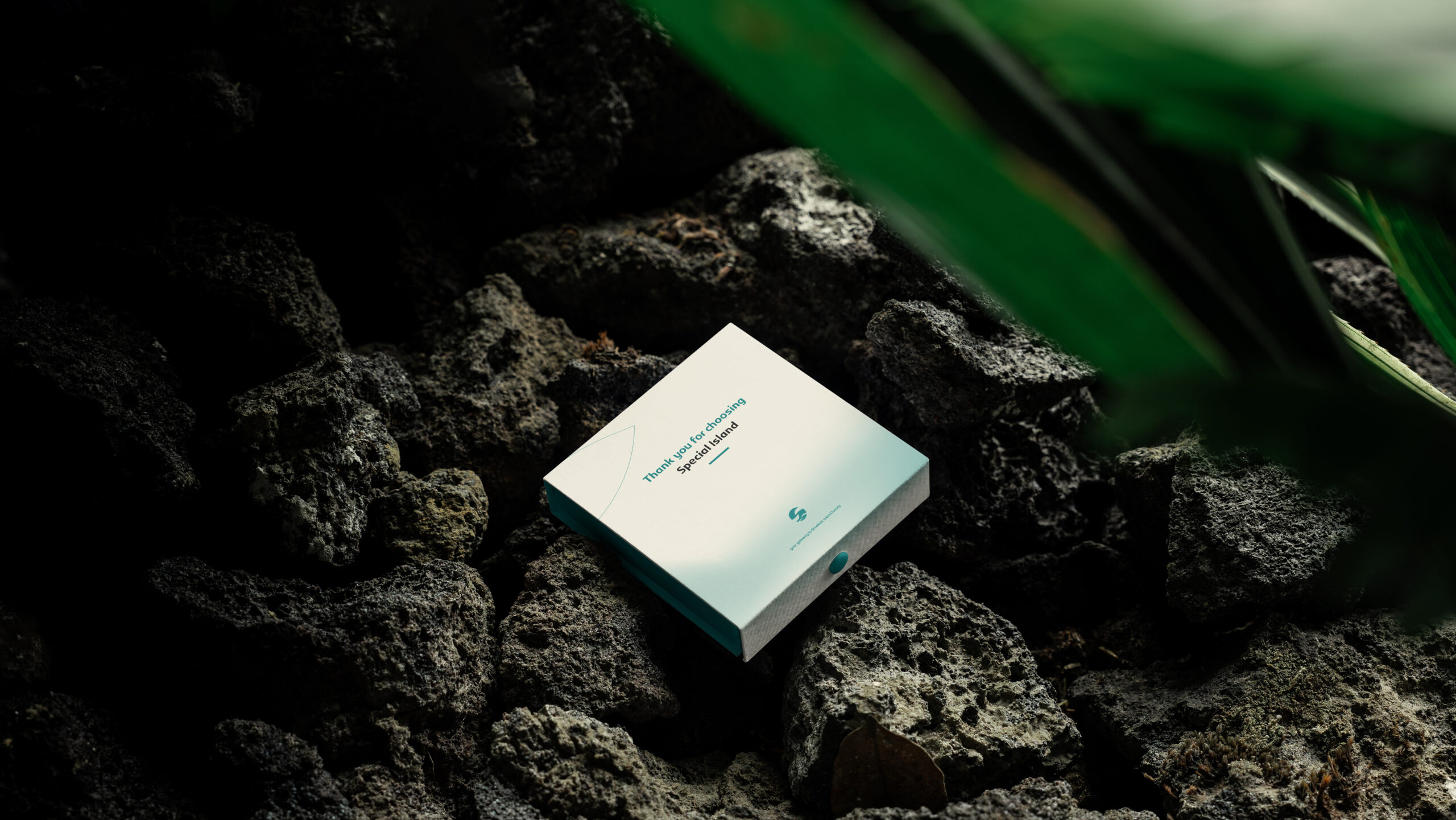 Special Island Brand Identity created by Fourp Agency فوربي | Branding Agency | Creative Agency | Saudi Arabia Riyadh 35